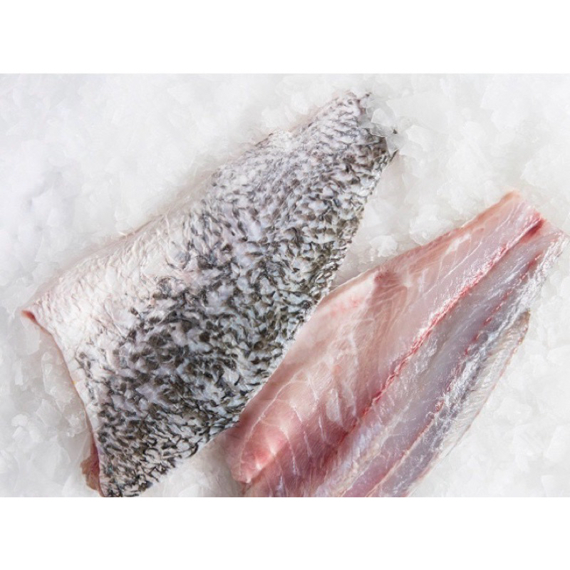 

fillet ikan baramundi/ fillet ikan kakap putih 500 gram