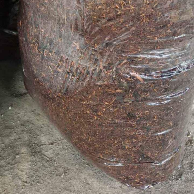 

Teh Tambi Wonosobo Original Kiloan 1kg