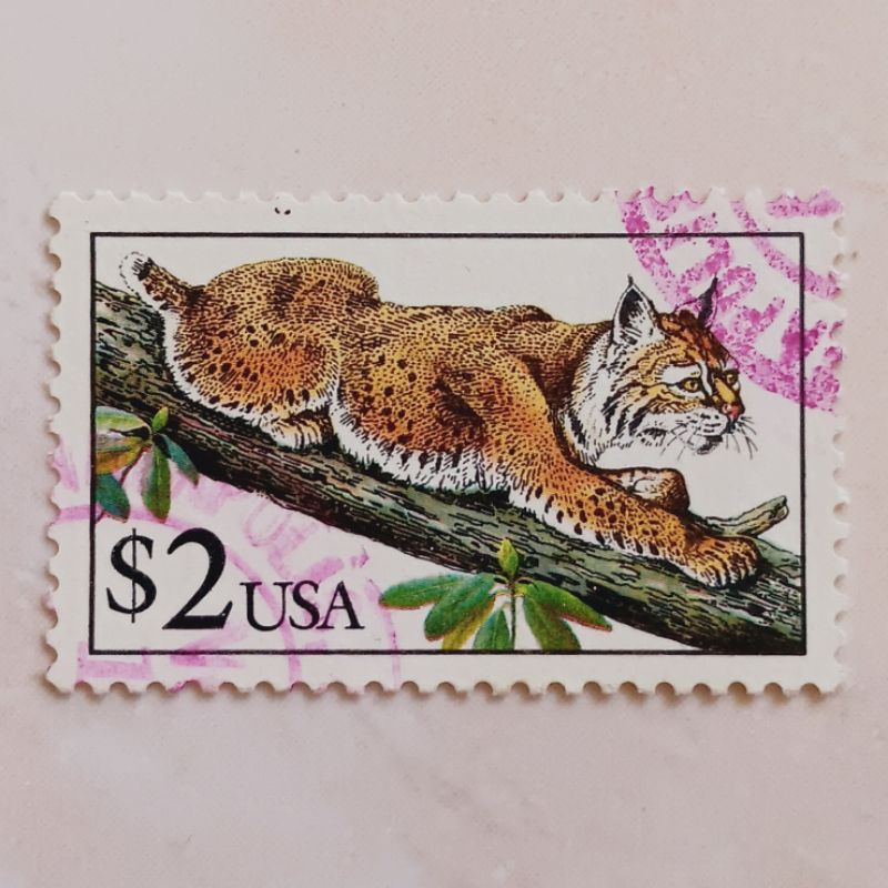 (AD) Perangko Amerika Serikat 1990 Flora and Fauna Issue - Bobcat (Lynx rufus) 2 dollar Used