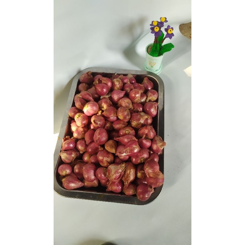 

bawang merah probolinggo berat produknya 500 kg barang kering dan oromanya sangat harum