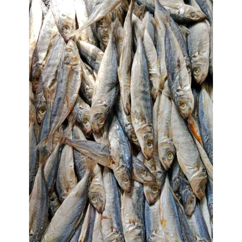 

promo ikan 8.8 diskon 99%