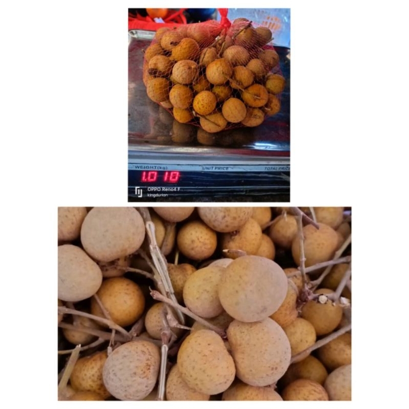 Buah Kelengkeng 1Kg