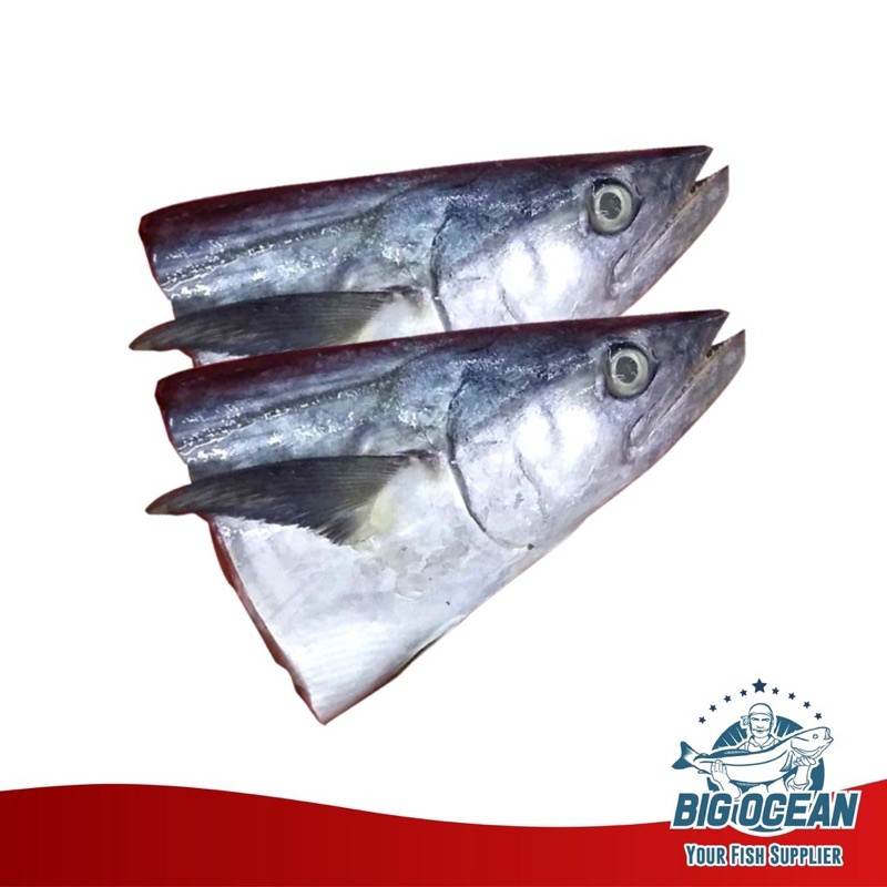 

kepala ikan tenggiri fresh/ kepala ikan tenggiri segar/ kepala ikan tengiri/ pcs