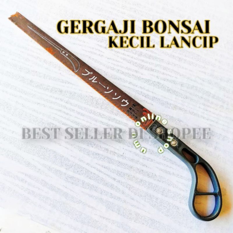 Gergaji Bonsai kecil lancip