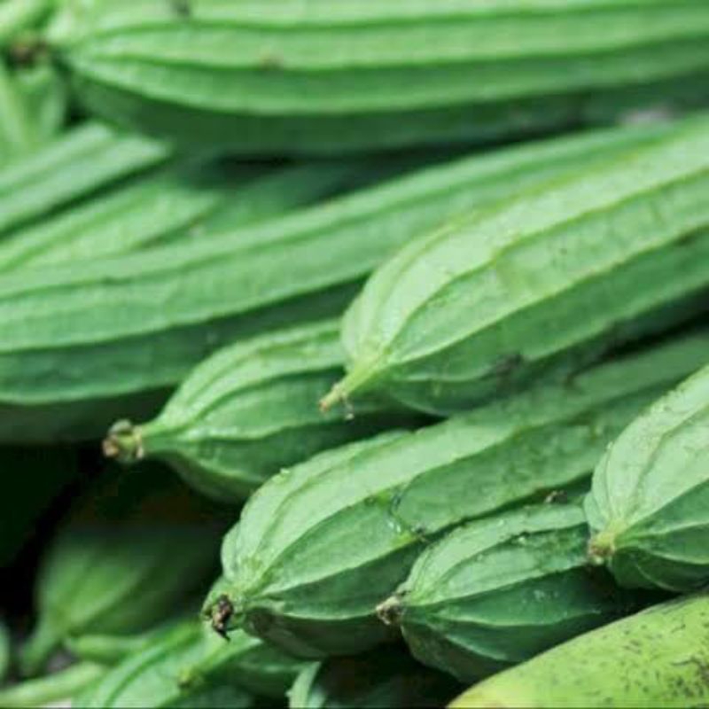 

[KIRIM INSTAN] Oyong Gambas 500gram