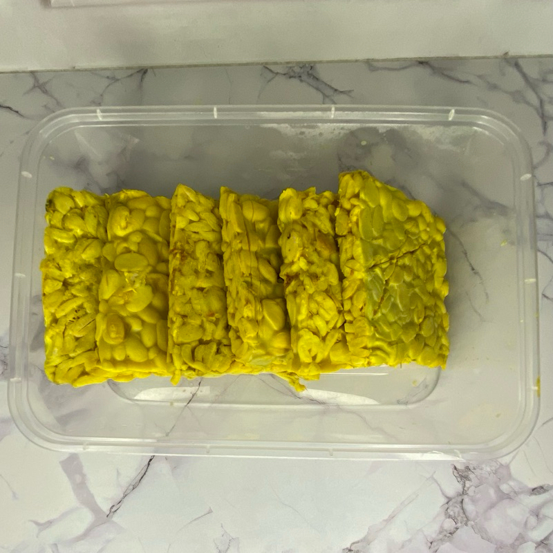 

Tempe Ungkep 6 Pcs