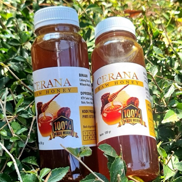 

Madu Murni Cerana dan trigona