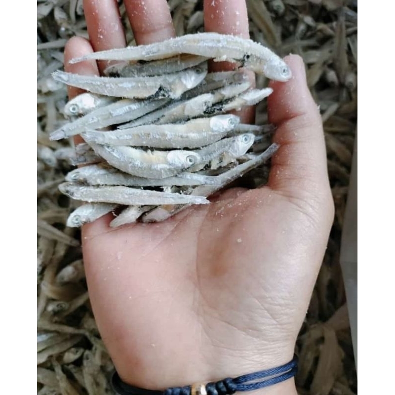 

Teri Jengki Cop grade A