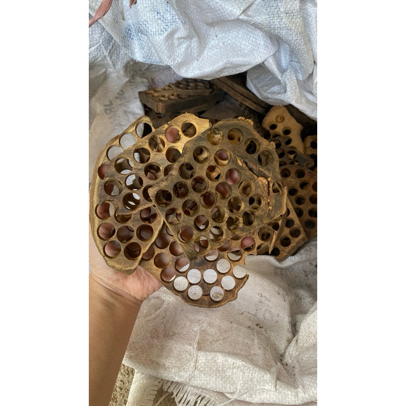 Kayu gaharu asli limbah kayu gaharu kayu gaharu bakar buhur kayu gaharu