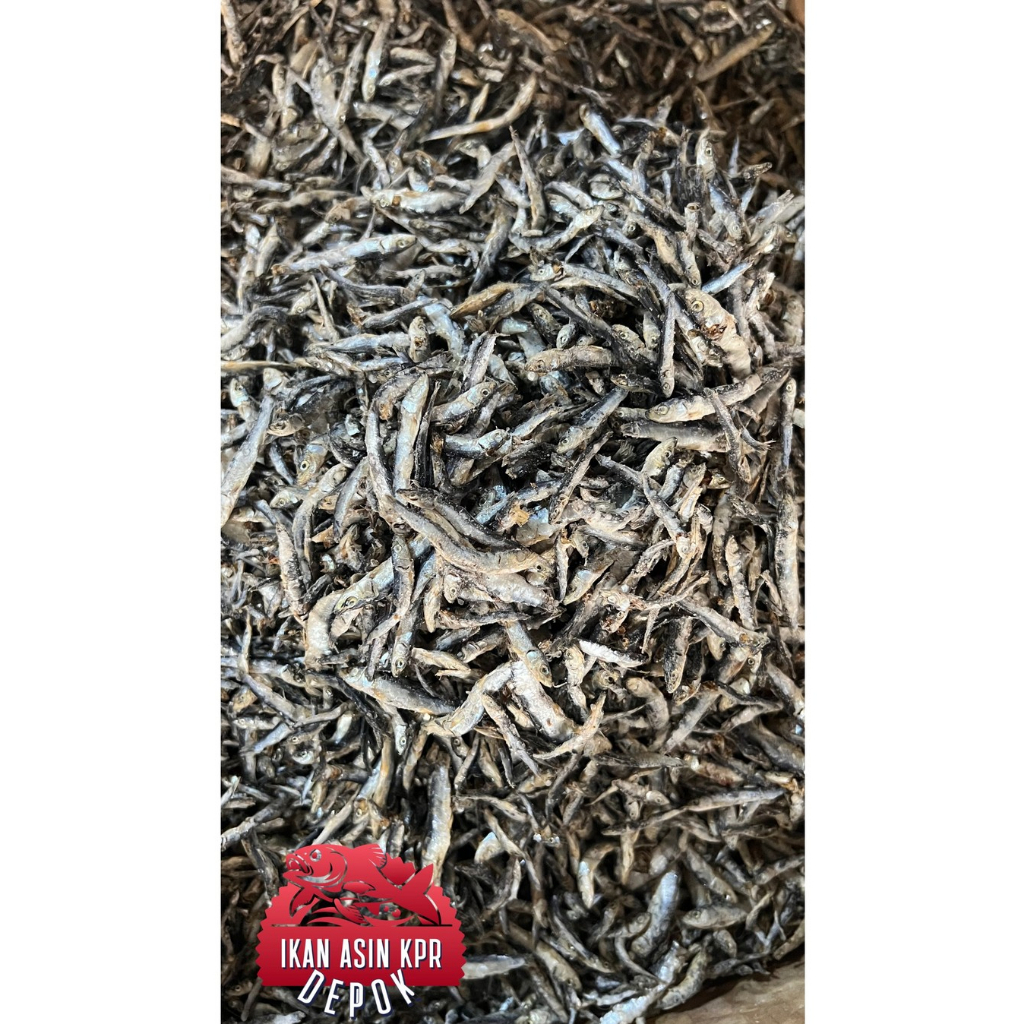 

IKAN ASIN TERI BATU 100 gr - 500 gr