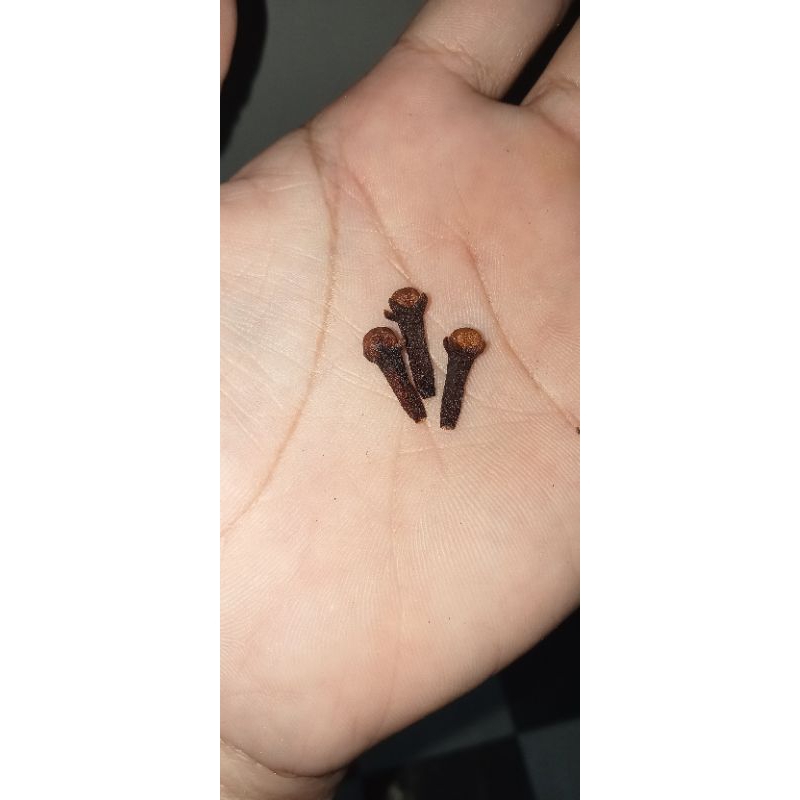 

cengkéh kering kualitas super