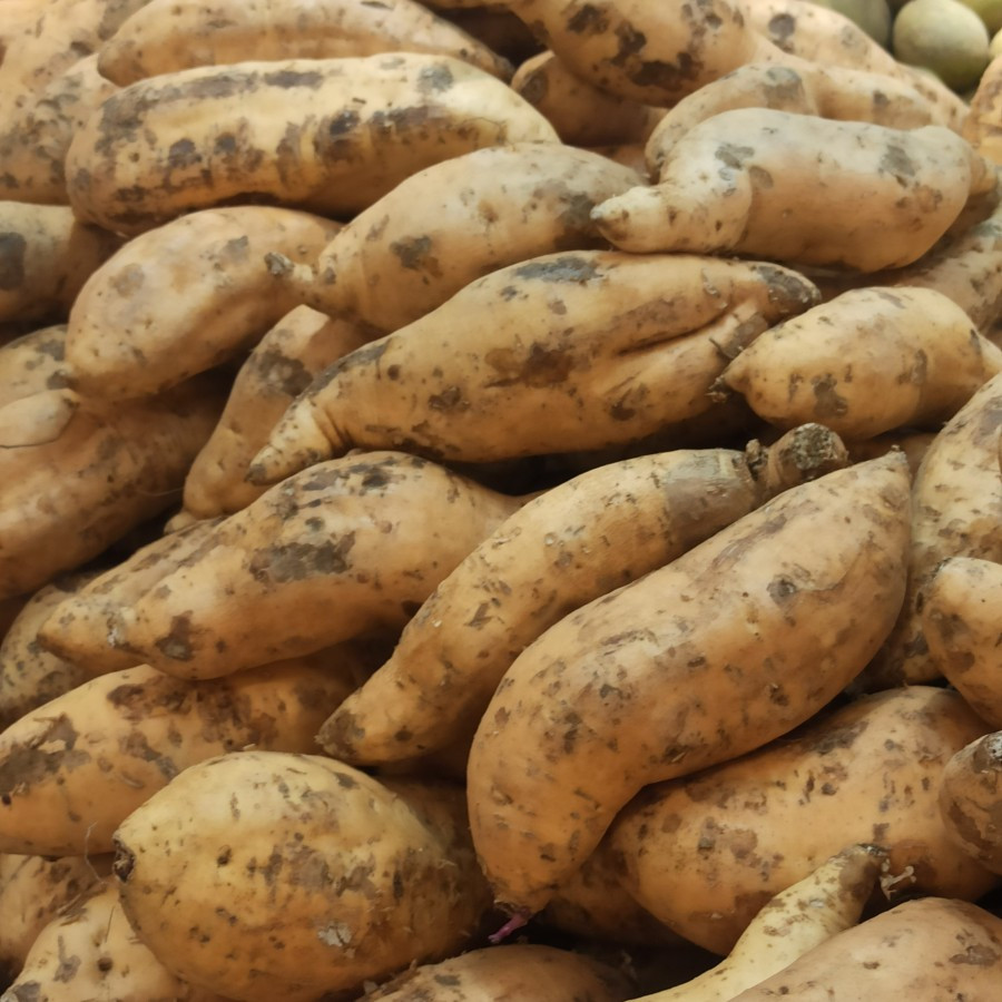 

Ubi Cilembu 1 Kg Organik Original