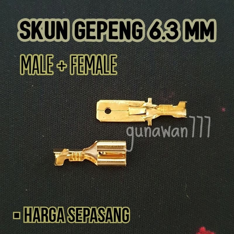 Skun Besar 6.3 mm male + female SEPASANG Skun Relay Klakson