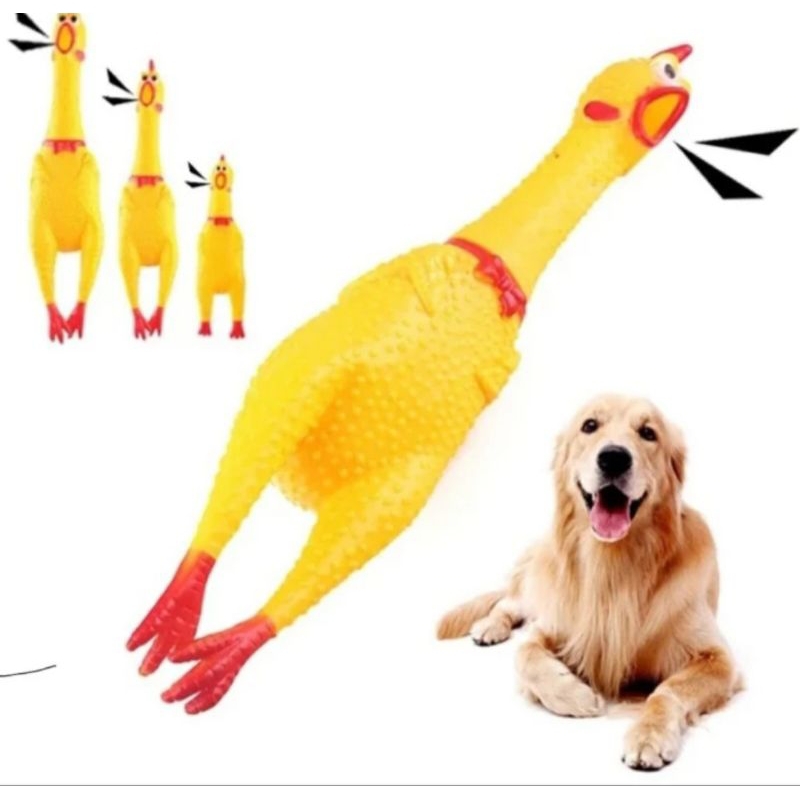 Mainan karet ayam screaming ayam teriak ayam bunyi karet