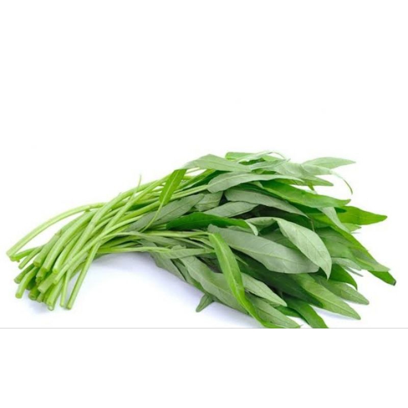 

kangkung 1 iket | kangkung freesh | kangkung murah segar