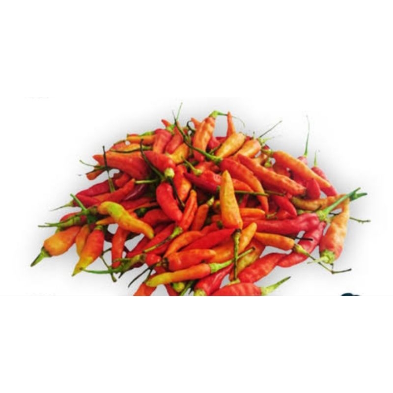 

cabai rawit | cabe merah | cabe setan | cabe merah segar murah