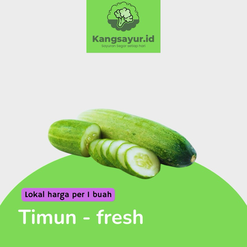 

Timun harga per pcs