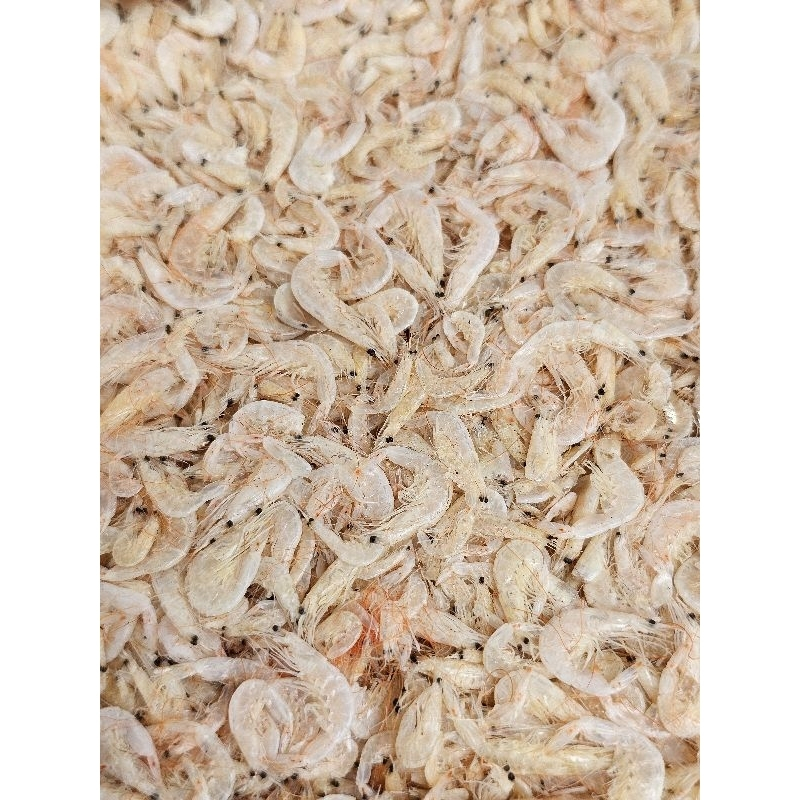 

Udang Reborn Red Happy