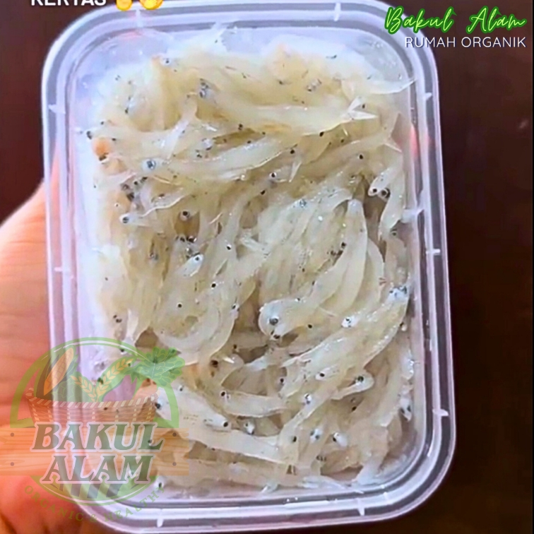 

Ikan Teri Nasi Basah | MPASI | Anchovies | 250 gr