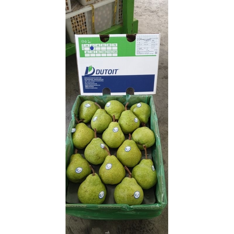 

Pear Packam