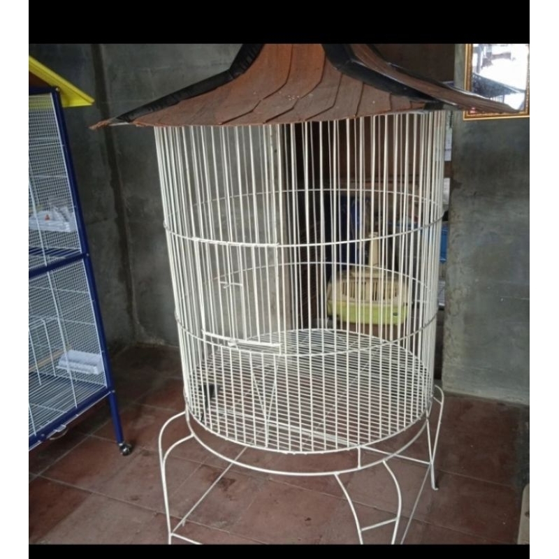 Sangkar kandang burung beo Kaka tua jagal Papua ayam bekisar ayam pelung dll