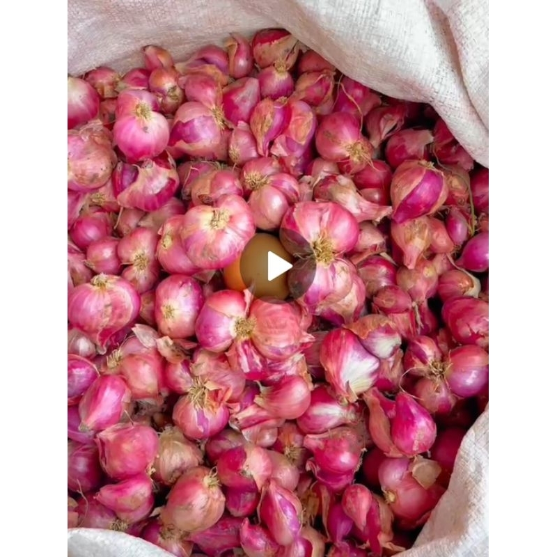 

BAWANG MERAH MURAH 1 KG