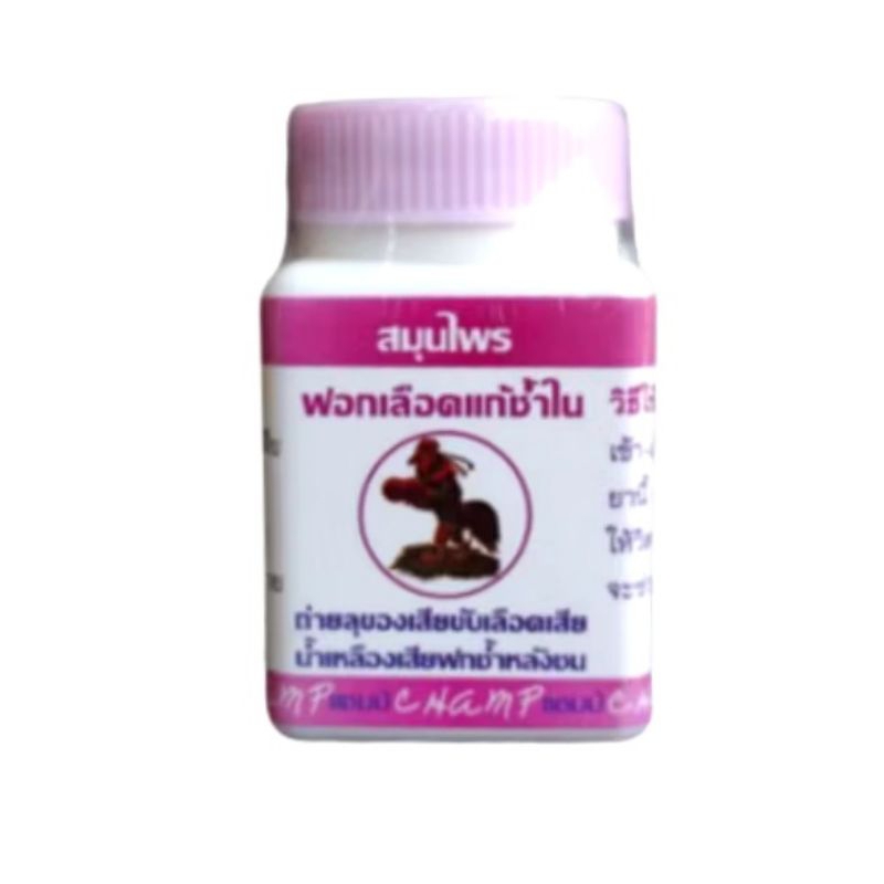 KAMLANG KERING CHAMP OBAT LUKA DALAM AYAM ADUAN LAGA BANGKOK THAILAND PASCA ADU