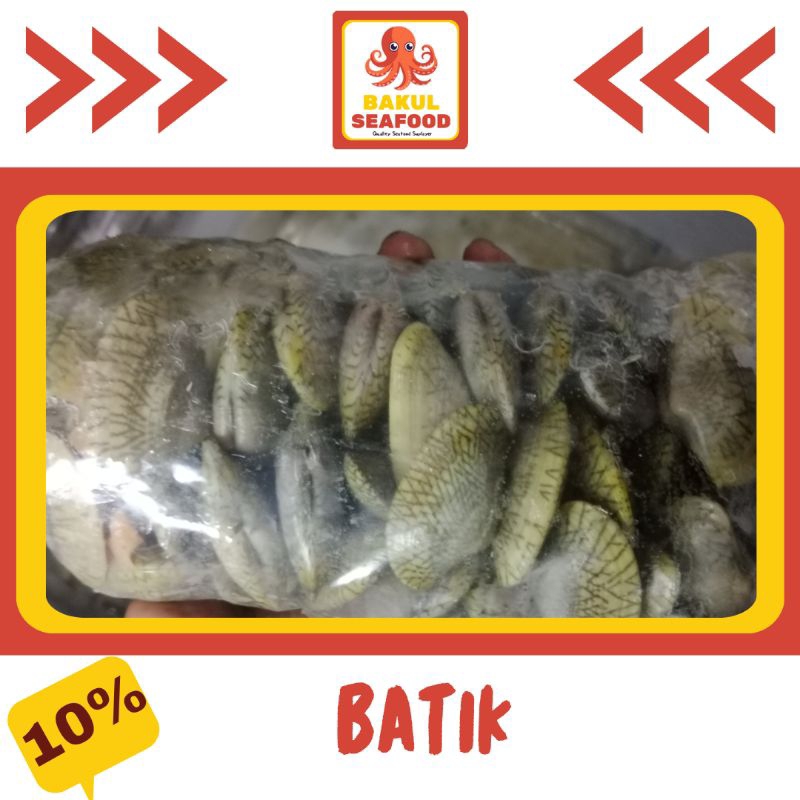 

KERANG BATIK 500GR-1000GR