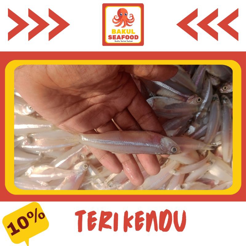 

TERI KENDU 500GR - 1000GR