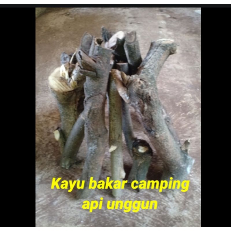 Kayu bakar api unggun camping