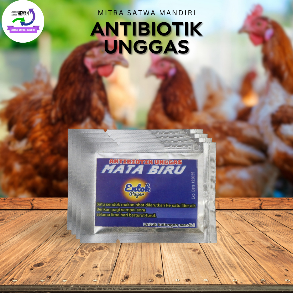 ANTIBIOTIK UNTUK UNGGAS