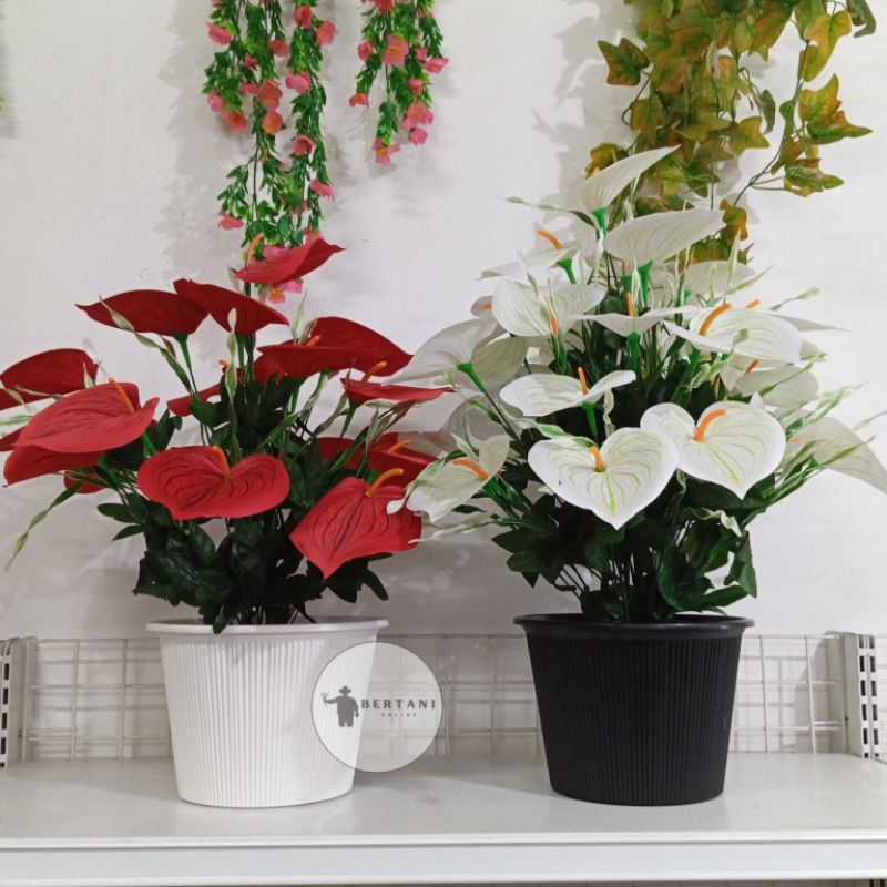 Pot Aster Ukuran 21 Budi Jaya Plastik