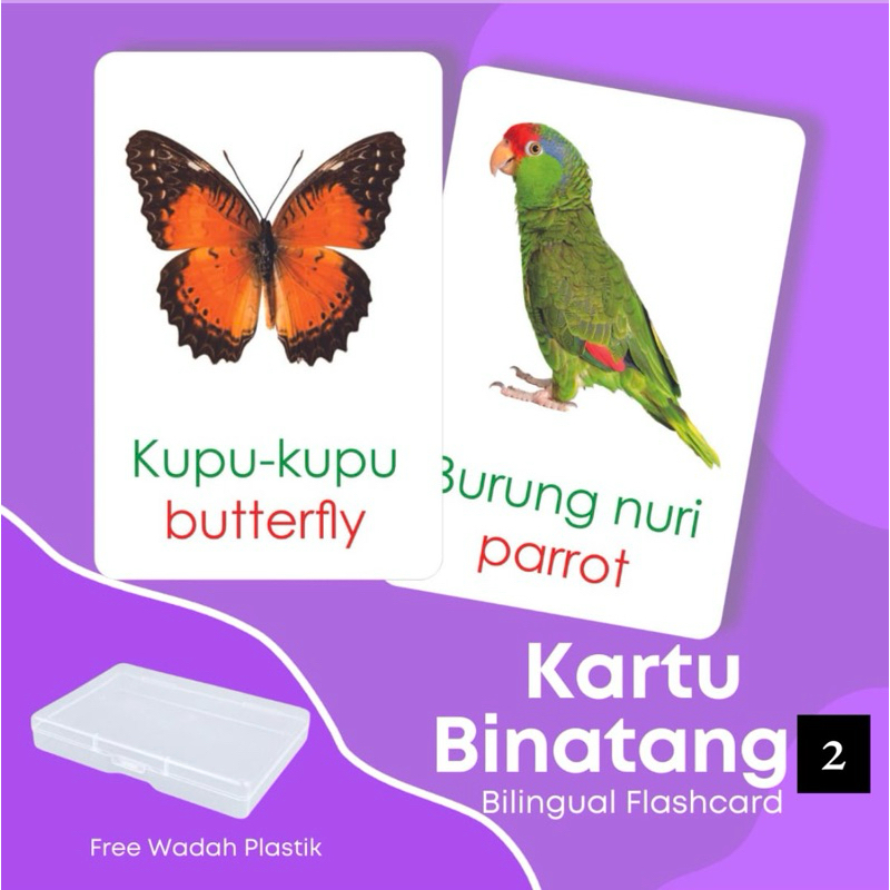 FLASH CARD KARTU HEWAN 2