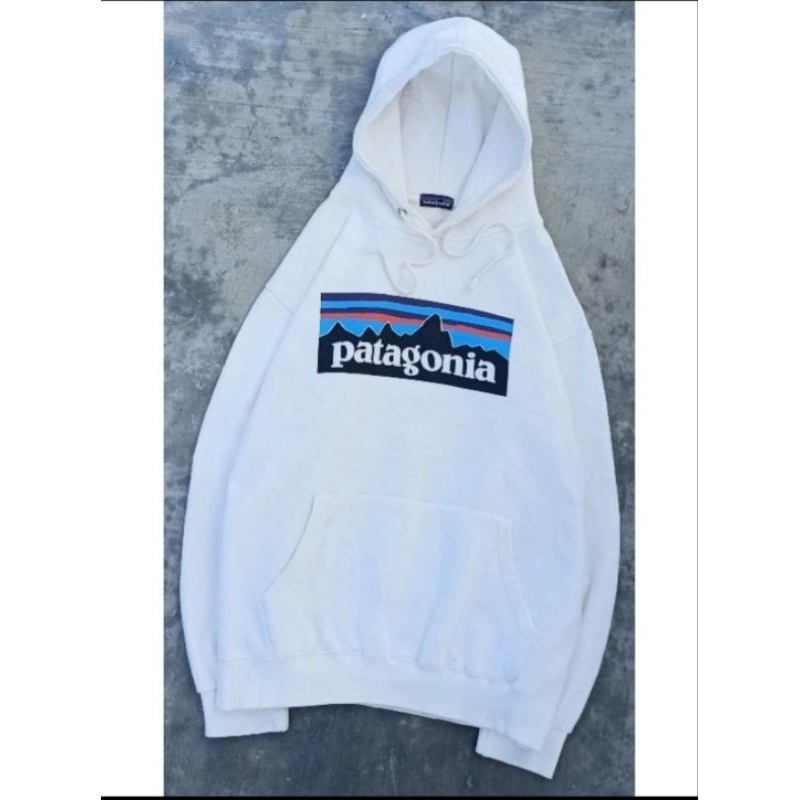 Hoodie Patagonia