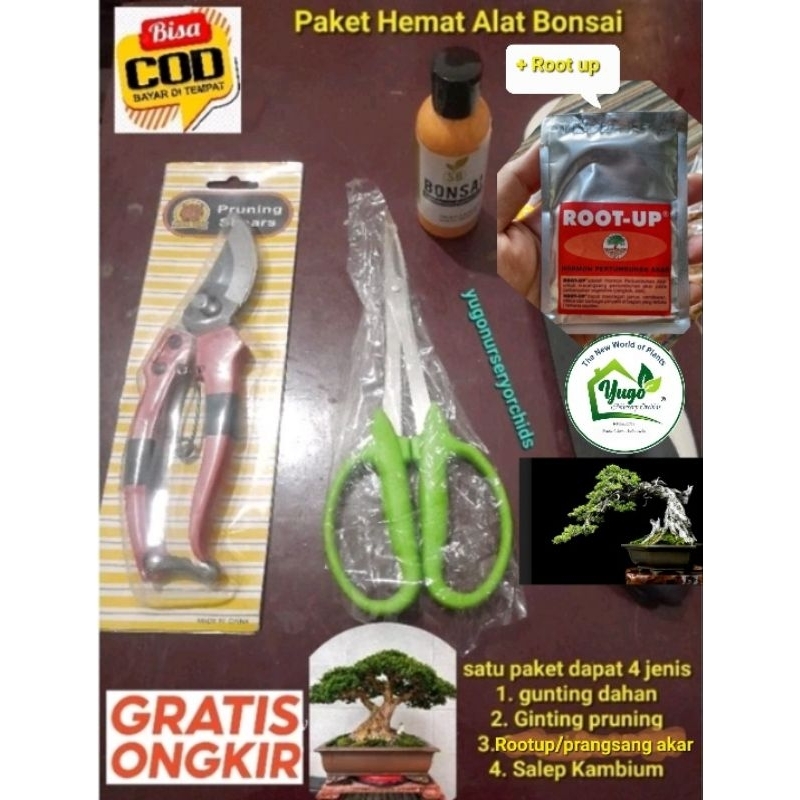 Bonsai Hemat Paket alat bonsai lengkap gunting pruning, gunting dahan, salep kambium, dan perangsang
