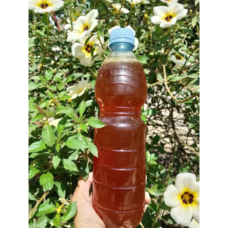 

MADUASLIMURNI100%TANPACAMPURANORIGINAL