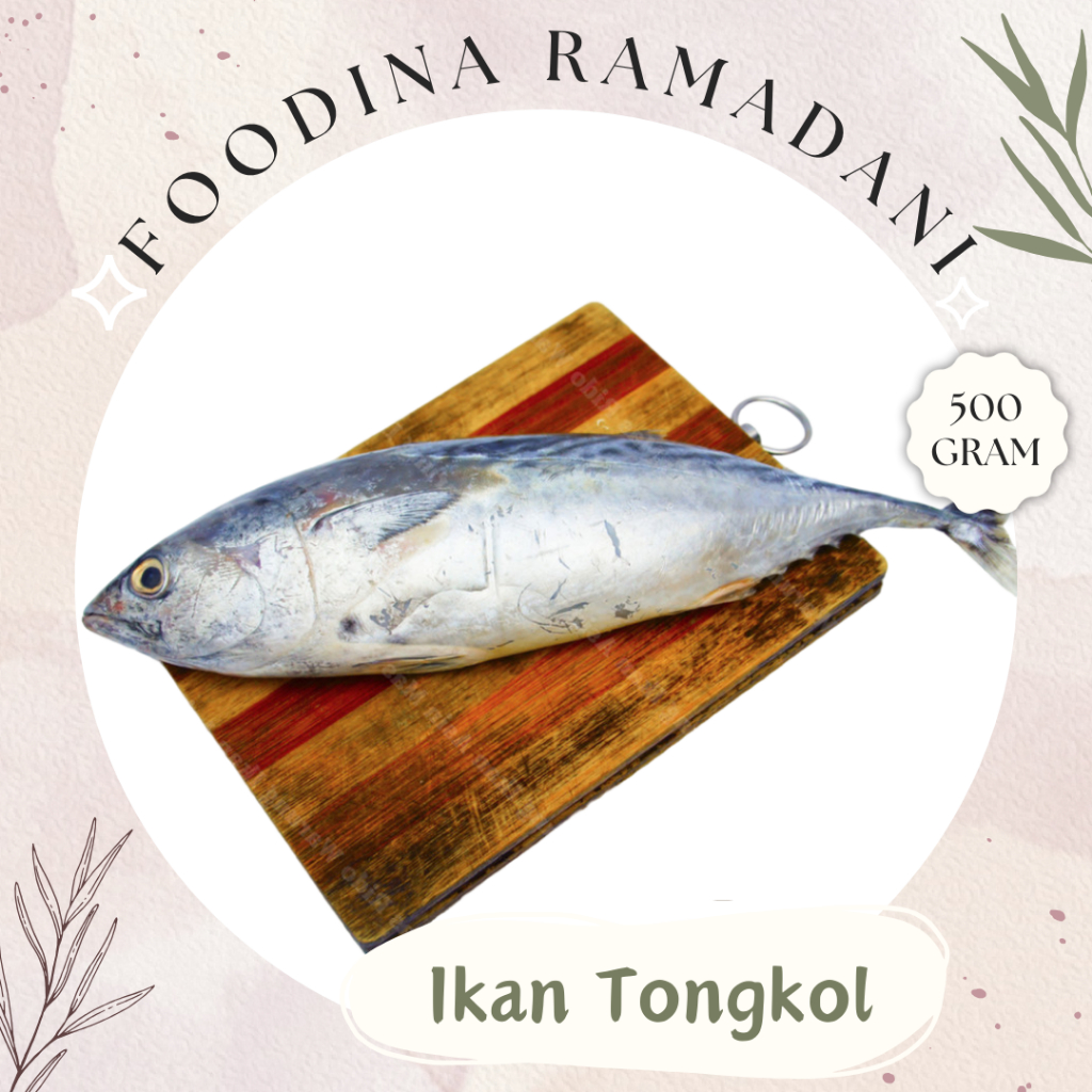 

IKAN TONGKOL Abu Abu - Thunnus Tonggol Fresh [ Berat 500gr ] Harga Per 0,5 Kg