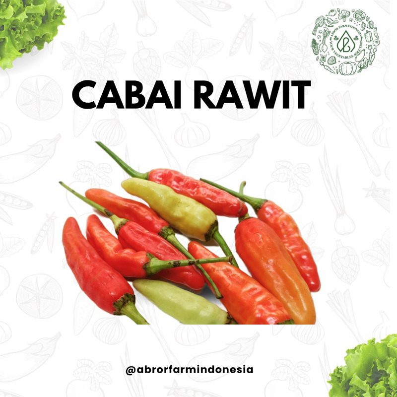 

Cabai Rawit Merah