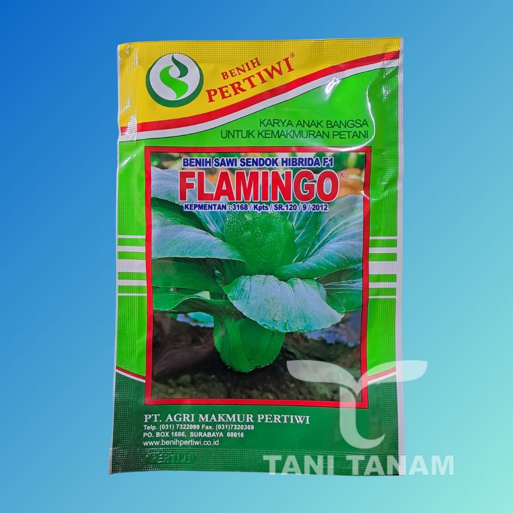 BENIH FLAMINGO SAWI SENDOK HIBRIDA F1 PAKCOY PERTIWI // FLAMINGGO