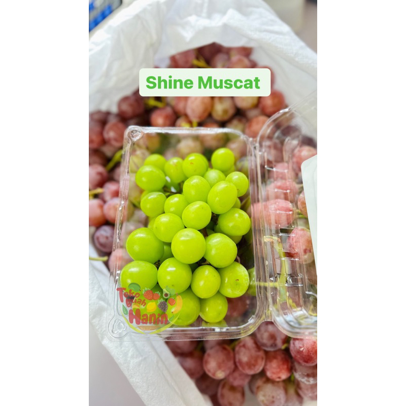 

Anggur Shine Muscat Non Biji 500gram