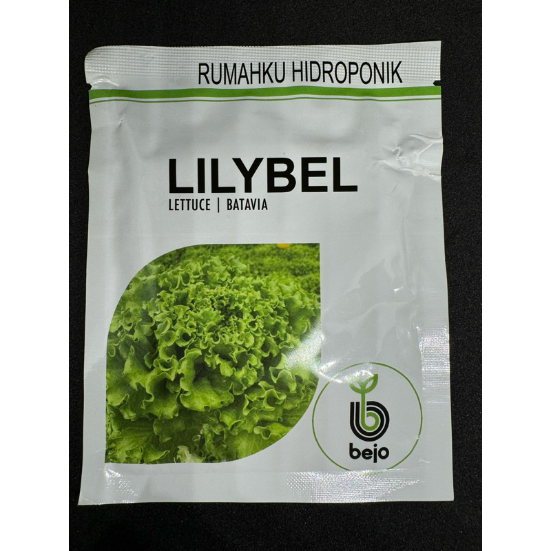 Benih selada import Lilybel / batavia letucce. Isi 1.000pil