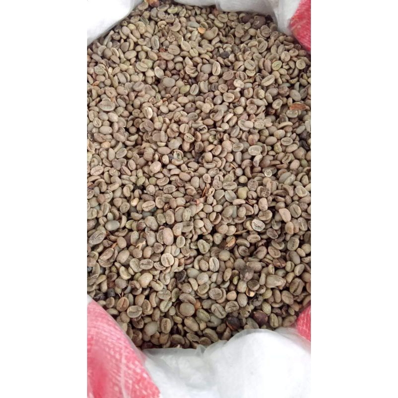 

Biji Kopi Green Bean Robusta Asalan Grade 1