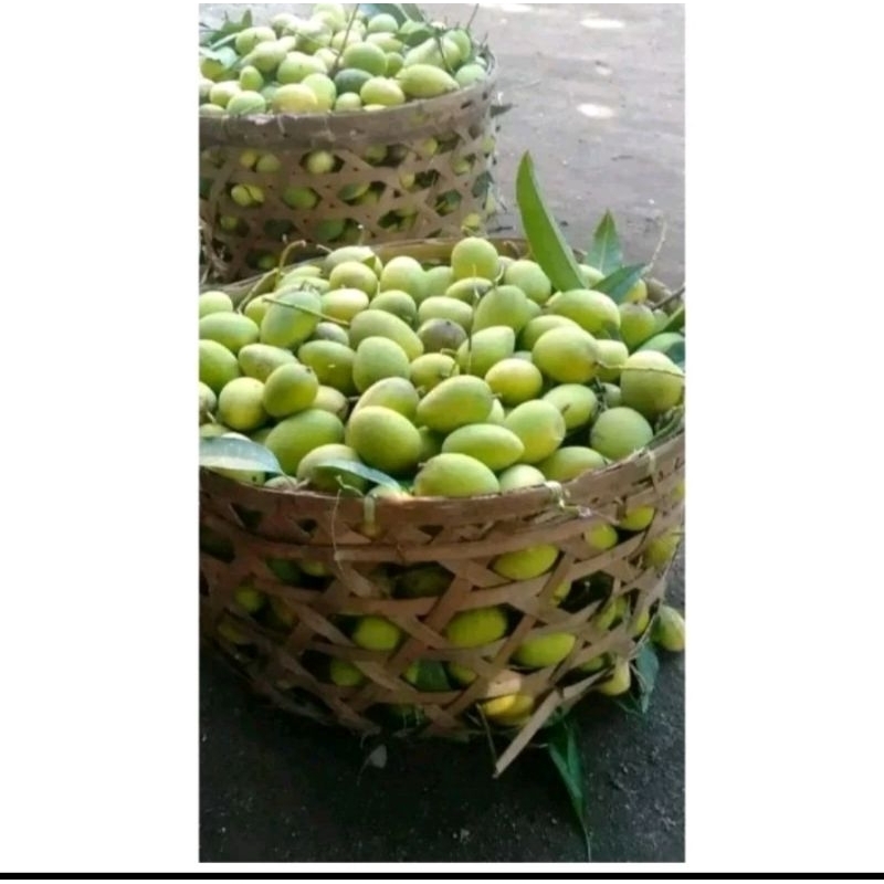 

Mangga Muda Segar Fresh buat Rujak