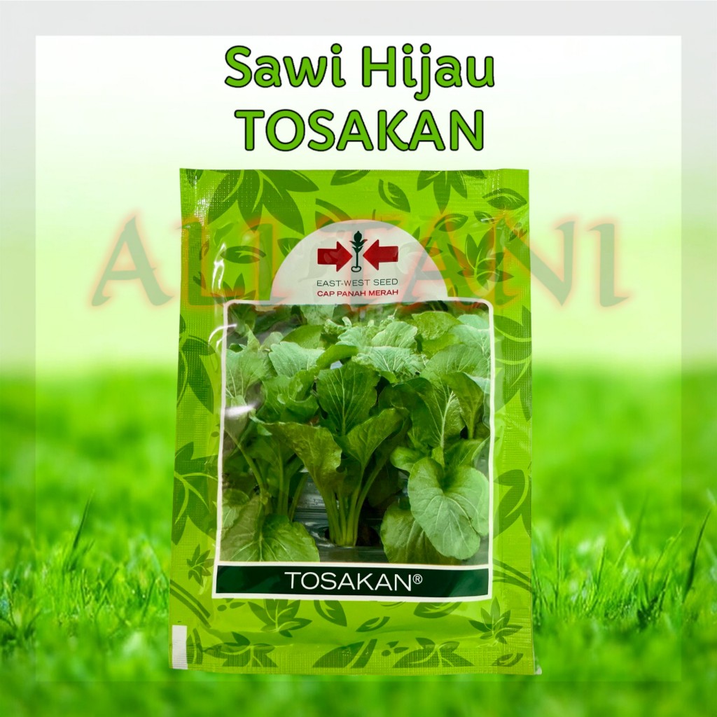 TOSAKAN Kemasan 25 gr Benih/Bibit Sawi Hijau/Sawi Manis