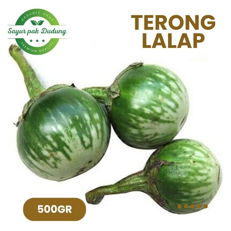 

terong lalap/terong ijo fresh 500gr