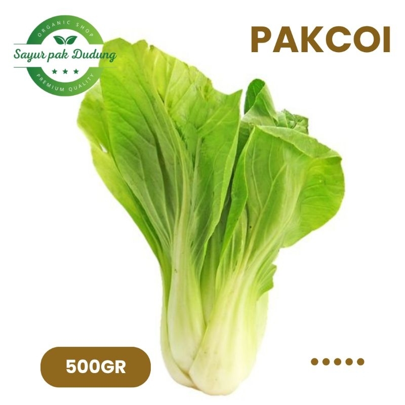 

pakcoi fresh 500gr pakcoy segar
