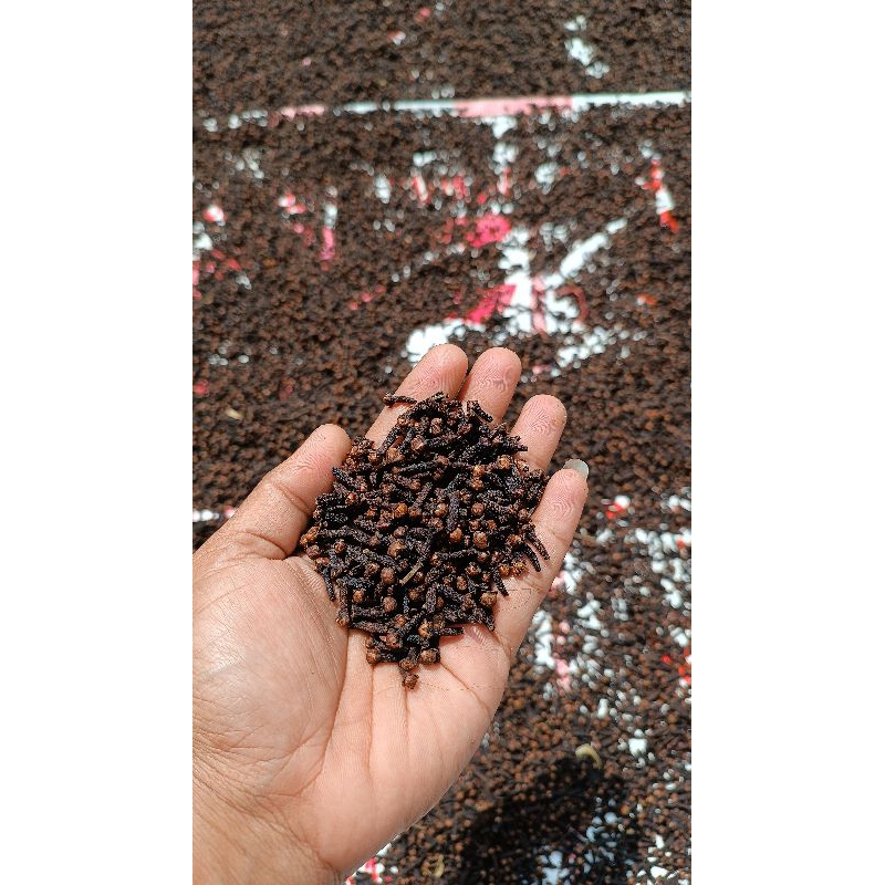 

cengkeh kering kualitas bagus cengkeh jawa barat 1kg