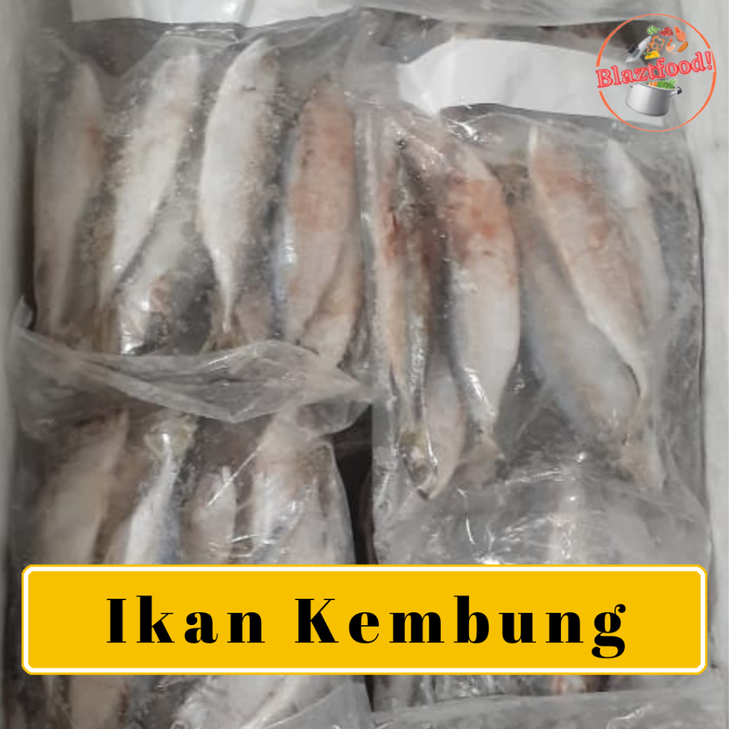 

Ikan Kembung 1 Kg Frozen