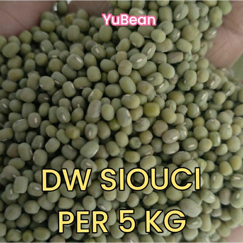 

KACANG HIJAU DW SIOUCI Per 5 KG IMPORT TOGE TAUGE