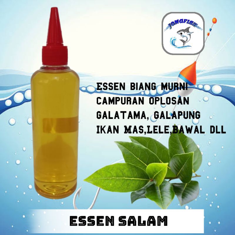 Essen Salam biang daun salam murni